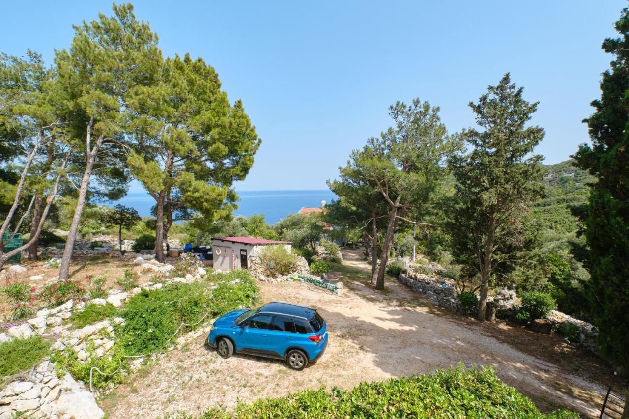 Apartments With A Parking Space Cunski, Losinj - 7867 Apartment *