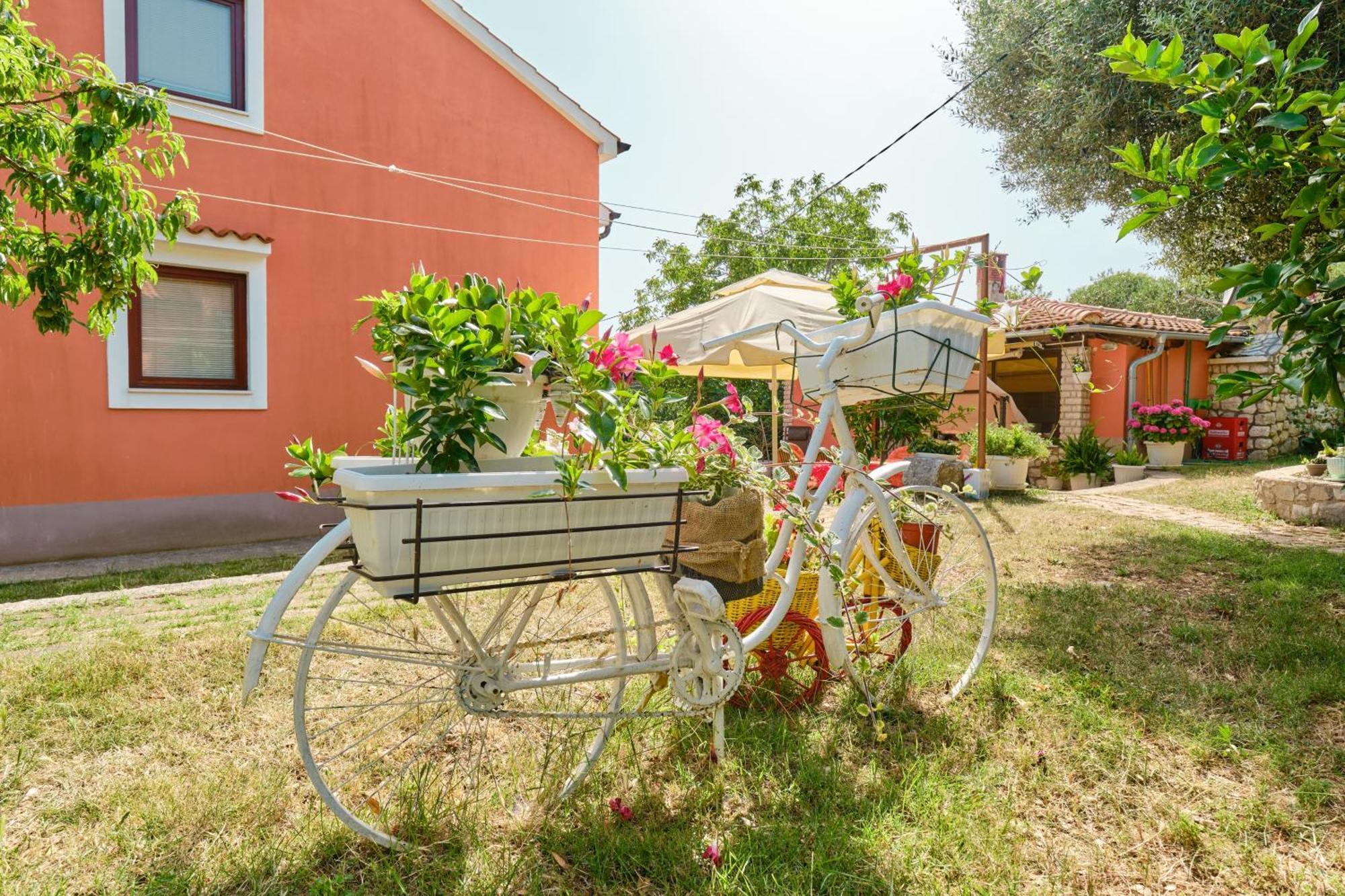 Apartments With A Parking Space Cunski, Losinj - 7867 Apartman